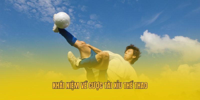 Khái niệm về cược tài xỉu thể thao